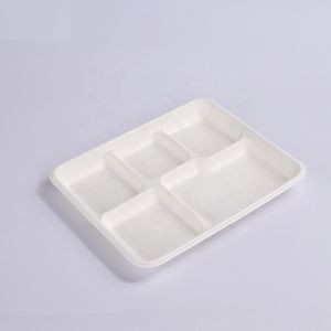Disposable Bagasse Food Tray