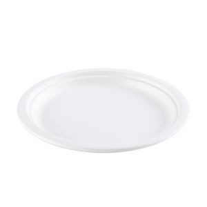 Biodegradable Food Plate