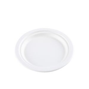 10 Inches Disposable Food Plate
