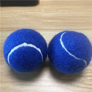 Pet Dog Fetch Toy Tennis Ball