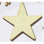 Stock 1" Star Lapel Pins