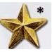 Stock 1/2" Star Lapel Pins