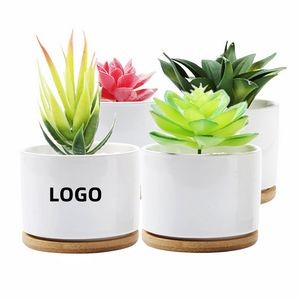 Ceramic Succulent Pots With Bamboo Tray