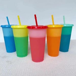 Plastic Color-Changing Cup
