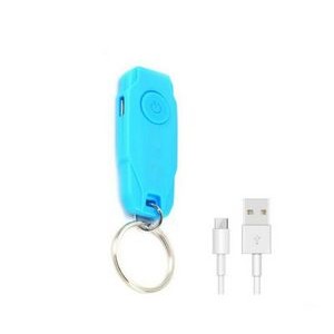 Portable USB Rechargeable Keychain