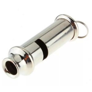 Stainless Steel Whistle with Lanyard