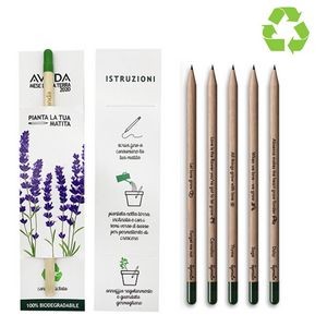 Graphite Plantable Pencils
