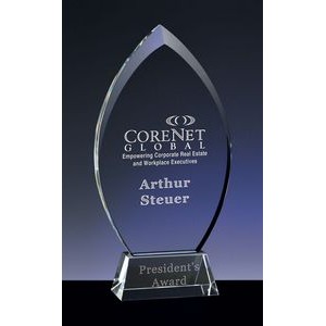 Large Prestige Optical Crystal Award