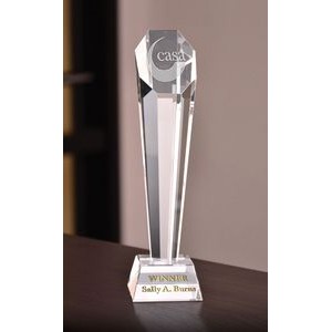 Saint Croix Optical Crystal Award