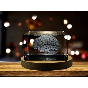 Brain Art | 3D Engraved Crystal Keepsake | Gift/Decor | Collectible | Souvenir