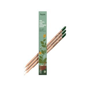 SproutWorld Custom Engraved Plantable Pencils in Standard 3 Piece Box