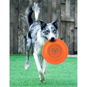 Pet Flying Discs - Available in Multiple Colors and Sizes