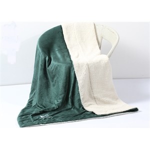 Sherpa Lined Micro Mink Blanket