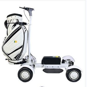 Electric Golf Scooter