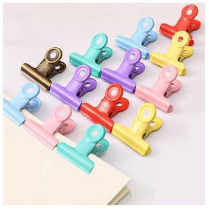 Mini Metal colored clips
