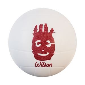Volleyball Stress Balls
