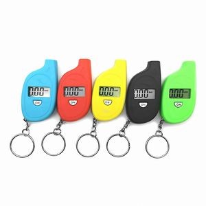 Mini Tire Gauge with Key Ring