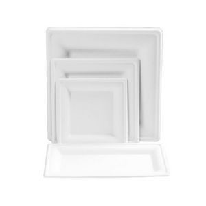 10 Inches Compostable Bagasse Food Square Tray