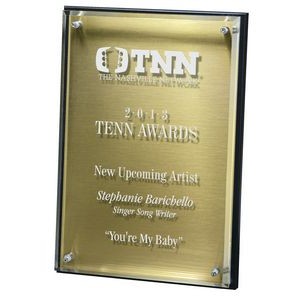 Hi-Tech Lucite Riser Plaque with Wood Backing and Gold Plate