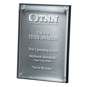 Hi-Tech Lucite Riser Plaque with Wood Backing and Silver Plate