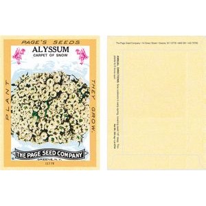 Antique Series Alyssum, Carpet of Snow Flower Seeds - Digital Print/Back Packet Print