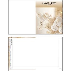 Mailable Series Money Plant Seeds- Digital Print- Front & Back Imprint