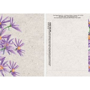 Watercolor Series Bee Seed Packet - Digital Print/Packet Back Imprint