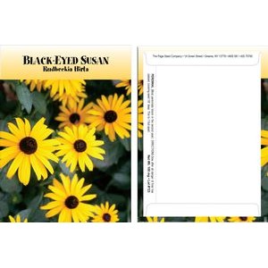 Standard Series Black Eyed Susan Seed Packet - Digital Print/Packet Back Imprint