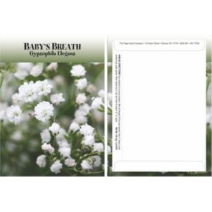 Standard Series Baby's Breath Seed Packet - Digital Print/Packet Back Imprint