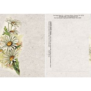 Watercolor Series Daisy Seed Packet