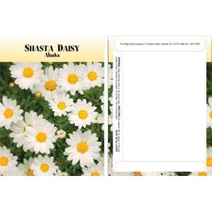 Standard Series Daisy Seed Packet - Digital Print/Packet Back Imprint