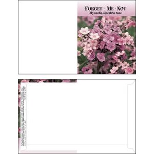 Mailable Series Pink Forget Me Not Seeds