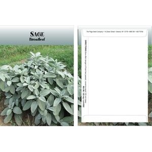 Standard Series Sage Seed Packet