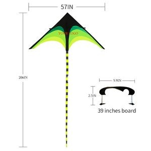 Triangle Long Tail Kite