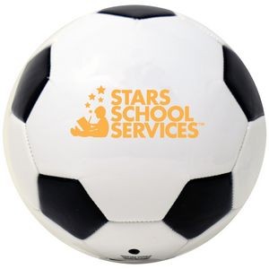 6" Mini Autograph Soccer Ball