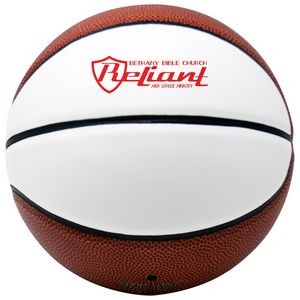 Autograph Basketball with Two White Panels