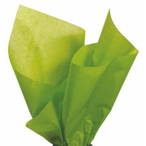 Aloe Tissue Paper (20