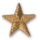 Embroidered Stock Appliques - Gold Star