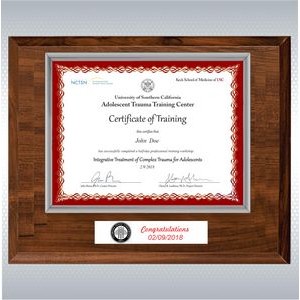 Cherry Wood And Silver Certificate Frame (12" x 15")