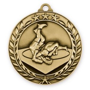 3D Sports & Academic Medal/Wrestling