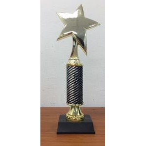 Diamond Cut Star Trophy