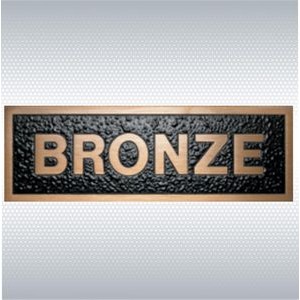 8" x 3" Custom Bronze Plaque