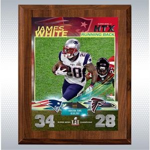 Cherry Finish Wood Plaque w/Full Color Sublimated Plate (6'" x 8")