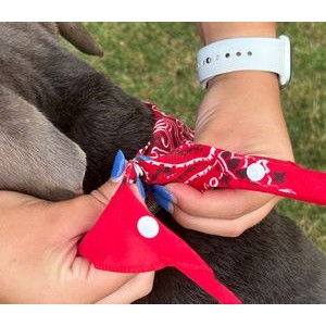 New and Exclusive Snap & Go™ Pet Bandanna Triangle (Adjustable) Medium-Large