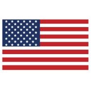 USA Flag Label (3" x 2")