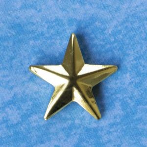 Medium Raised Star Cast Stock Jewelry Pin