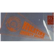 Static Cling Pennant Shaped Decal (2 7/8"x4¾")