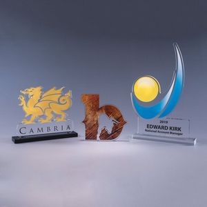 1/4" Custom Cut Acrylic Award (Up to 100 Square Inches)