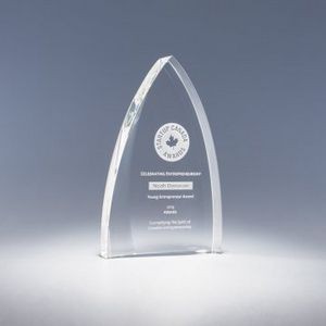 9" Foremost Crystal Award