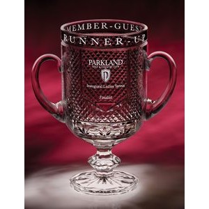9" Diamond Cup Crystal Trophy